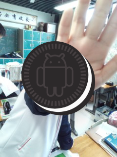 安卓8 彩蛋截图