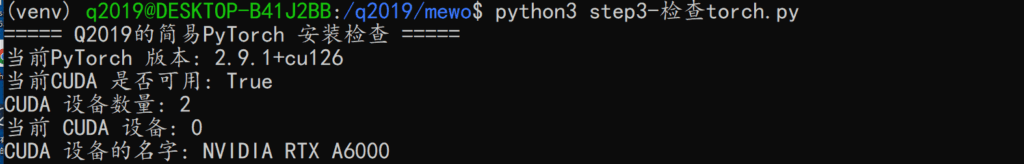 torch安装检查截图