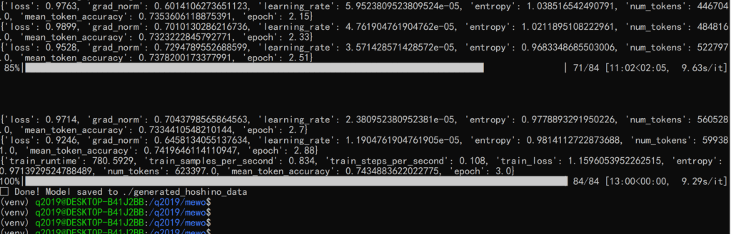 SFT微调过程中的终端截图