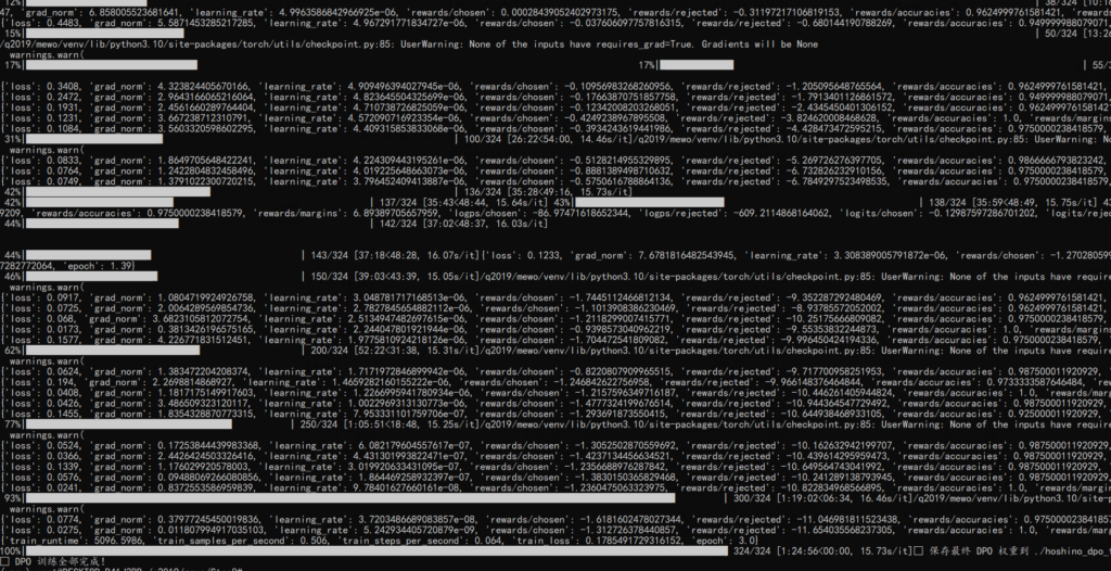 DPO微调过程的截图