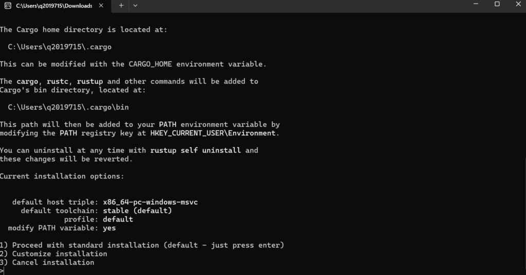 Rust安装程序询问安装模式截图