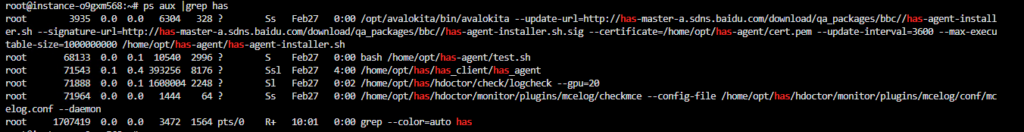ps aux |grep has命令在存在HAS的时候的运行结果截图