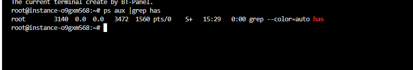 卸载HAS完成后ps aux |grep has的输出结果